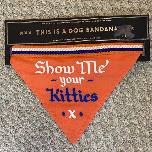 Orange Dog Bandana - Show Me Your Kitties - Picture 1 of 5